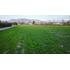 Se Venden Parcelas  Agroindustrial En Panamericana 5 Sur