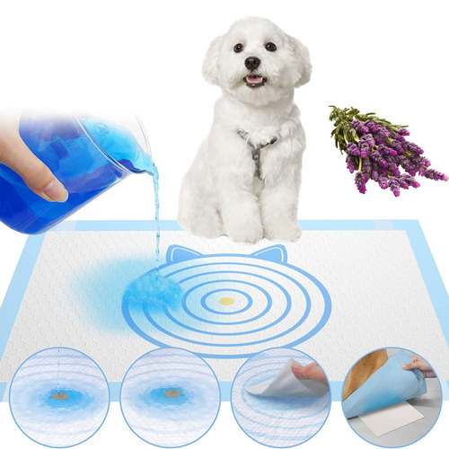 40 Pañales Sabanillas Marca Homer Design Con Objetivo Perro Mascota 60x90 Aroma Y Adhesivo Su 4 Borde