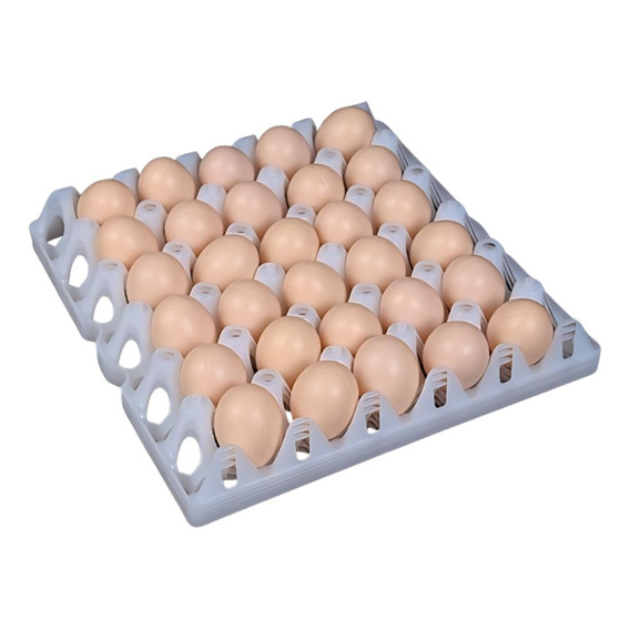 Cubeta Bandeja Plástica Para Huevos Incubación X10 Unidades 
