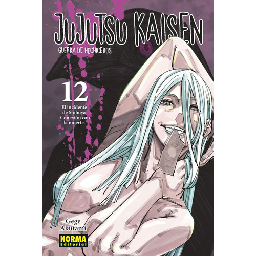 Jujutsu Kaisen 12, De Gege Akutami. Serie Jujutsu Kaisen, Vol. 12. Editorial Norma, Tapa Blanda En Español, 2021