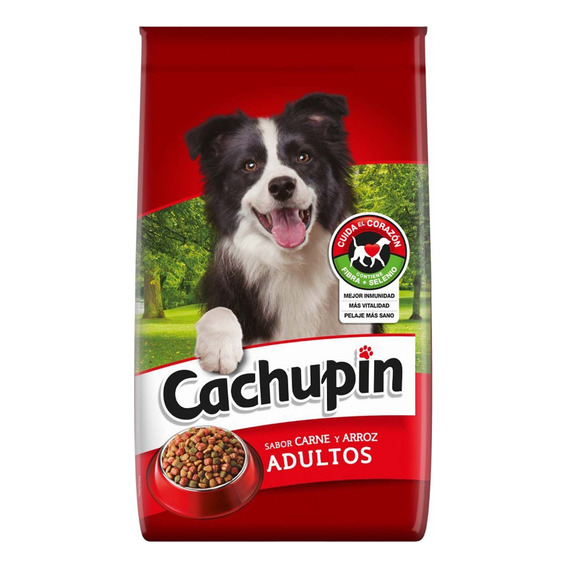 Cachupin Adulto Carne 25kg | Solo Stgo | Mdr