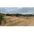 Sitio En Venta En Limache