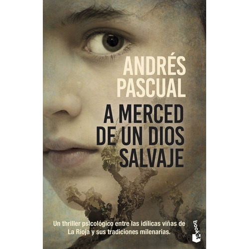 A Merced De Un Dios Salvaje, De Pascual, Andres. Editorial Booket, Tapa Blanda En Español