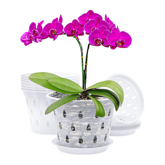 Kit De 5 Macetas Rígidas Transparentes - Orquídeas