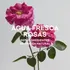Perfume Mujer Adolfo Dominguez Agua Fresca De Rosas 60 Ml Ub