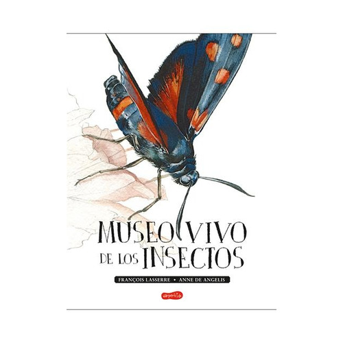 Museo Vivo De Los Insectos - Francois Lasserre