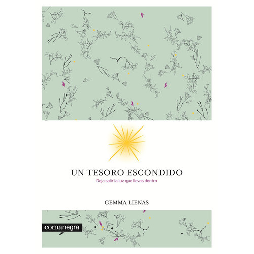 Un Tesoro Escondido, De Liennas, Gemma. Editorial S/d, Tapa Blanda En Español, 2016