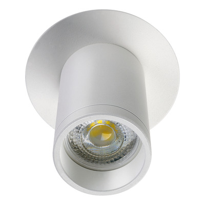 Spot Plafon Monovolumen Blanco Aluminio Dicro Gu10 3009/p 