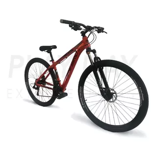 Bicicleta Mountain Fire Bird Rodado 29 Shimano Susp Envio