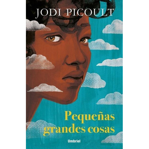 Pequeñas Grandes Cosas  Jodi  Picoult Puck  Nuevo