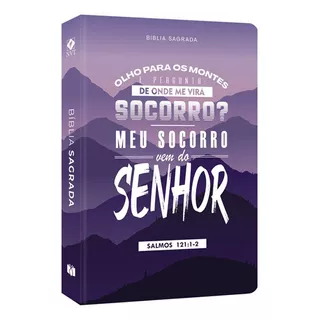 Bíblia Sagrada, De Plenitude Distribuidora. Editora Plenitude Destruidora, Capa Mole Em Português