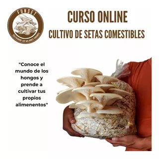 Kit Cultivo Hongos Comestibles + Curso 8 Módulos Virtuales