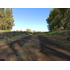 Terreno Agrícola En Venta, Campo De 60 Ha, Teno