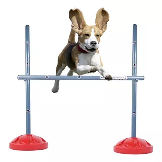 1 Salto Para Agility - Recreação E Adestramento De Cachorro