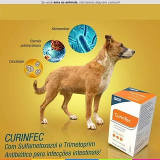 Curinfec Infecção Intestinal Em Cães Gatos 100ml