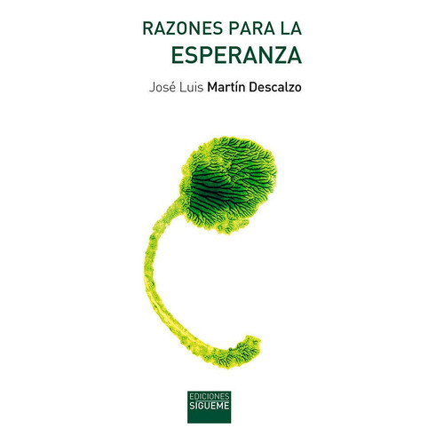 Razones Para La Esperanza - Martin Descalzo, Jose Luis