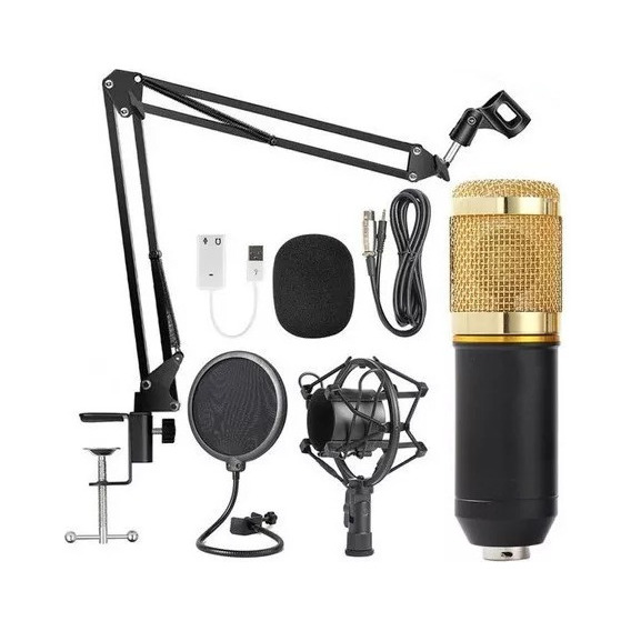 Kit Profesional Microfono Bm 800 Condensador Cardioide Gold