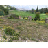 Sitio En Venta Valle Escondido / Cancha De Golf
