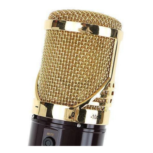 Microfono Usb Condenser Kurzweil Km1u Cardioide Voz Estudio Color Dorado