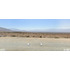 Primera Línea Ruta 5 Norte, La Serena