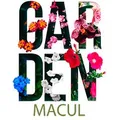 development-logo