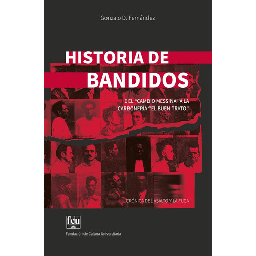 Historia De Bandidos, De Fernandez, Gonzalo. Editorial Varios - Autor, Tapa Blanda, Edición 1 En Español