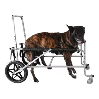Cadeira Andador 4 Rodas Cão Cachorro Grande Porte 25 A 50kg