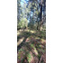 Venta Parcela Villarrica Altos De Pino Huacho (173215)