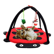 Toca Tenda Brinquedo Para Gatos - Brinquedo Interativo Gatos