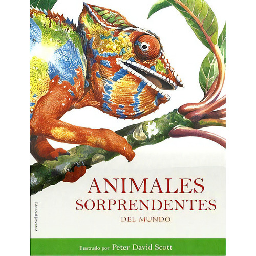 Animales Sorprendentes Del Mundo, De Scott David Peter. Juventud Editorial, Tapa Dura En Español, 2010