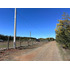 Oportunidad Parcela 5.000 Mts (93879)
