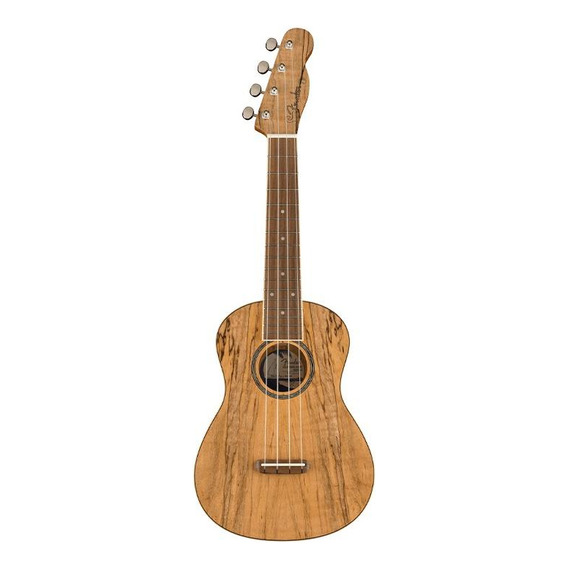 Fender Zuma Exotic Concert Ukulele, Spalted Maple Ukulele Color Marrón