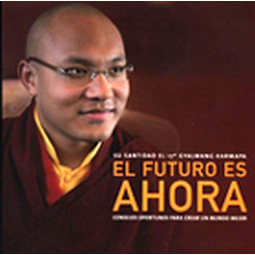 Futuro Es Ahora, El: CONSEJOS OPORTUNOS PARA CREAR UN MUNDO MEJOR, de Karmapa Gyalwang. Editorial Acanto, tapa blanda, edición 1 en español