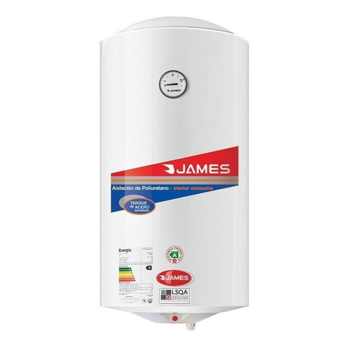 Calefon Termotanque 60lts James Acero+bono Dto Ute Color Blanco