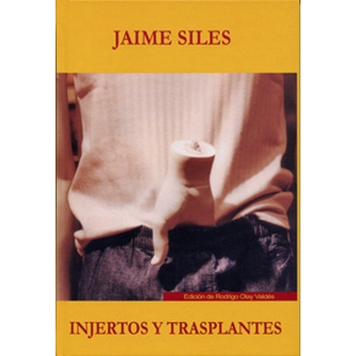 Injertos Y Trasplantes. La Traducciãân Como Proceso Creativo, De Siles Ruiz, Jaime. Editorial Ediciones Universidad De Valladolid, Tapa Dura En Español