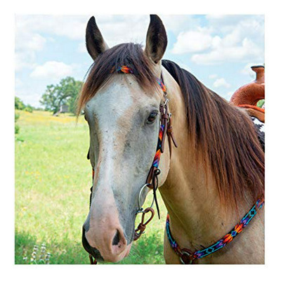 Cabezada De Cuero Con Diadema De Abalorios - Tamaño Caballo