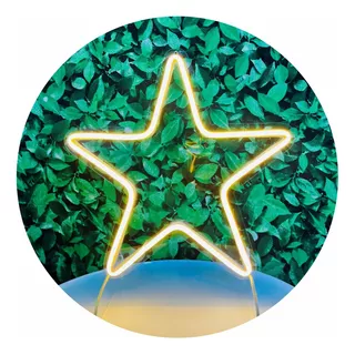 Painel Neon Led Estrela Instagram 26cm