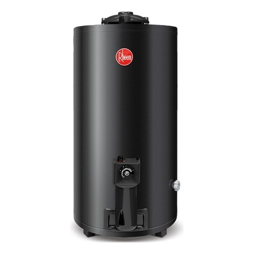 Termotanque a gas natural Rheem AEE TGNP080RH Gris oscuro