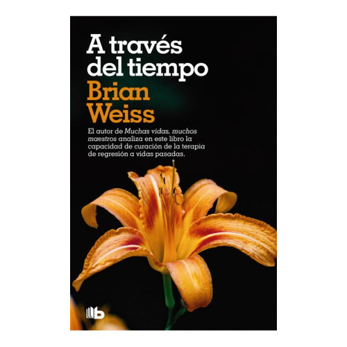 A Traves Del Tiempo, de Brian Wess. Editorial B de Bolsillo, tapa blanda en español, 2022