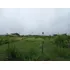 Lote La Victoria (flandes - Tolima)