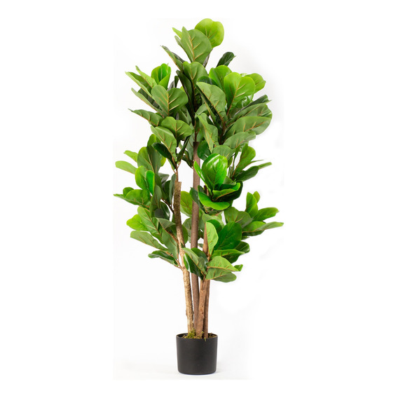 Planta Artificial Ficus Lyrata 120 Cm 134 Hjs / Arbusto Real