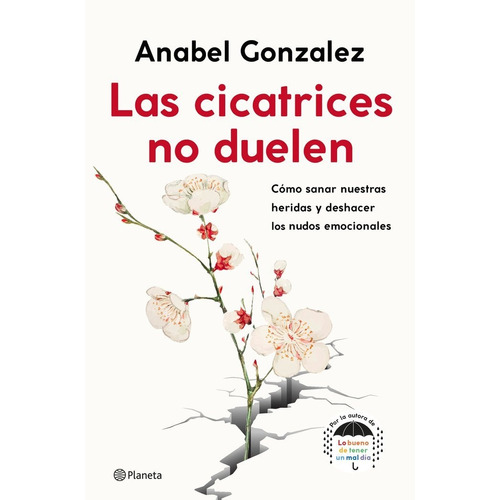 Las Cicatrices No Duelen - Anabel Gonzalez