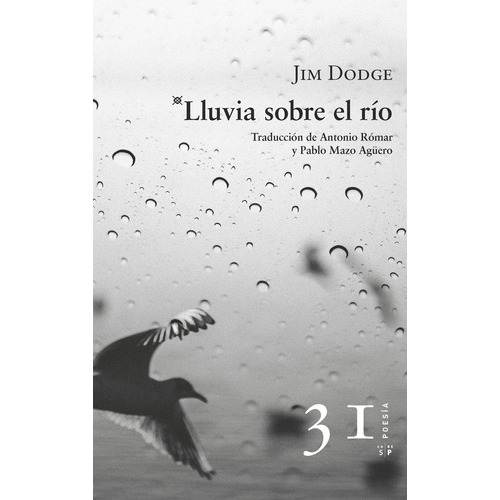Lluvia sobre el río, de Dodge, Jim. Serie N/a, vol. Volumen Unico. Editorial Salto de Página, tapa blanda, edición 1 en español