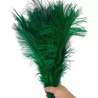 Avestruz Plumas E Penas Palito Decoração Artesanatos Luxo Cor Verde Bandeira
