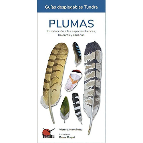 Plumas, Introduccion A Las Especies Ibericas, Baleares Y Canarias, De Victor J. Hernandez. Editorial Tundra, Tapa Blanda En Español, 2021