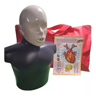 Torso Práctica Rcp Con Bolso, Con Cierre , Bolsillo, Acolcha