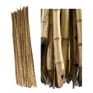 Tutor Estaca De Bambu Para  Planta 1,90m X 2 Ø X 15 Un 