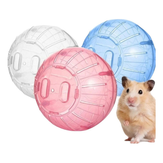 Bola Esfera Para Hamster, Erizos 19cm Juguetes Roedores - Ar