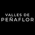 development-logo