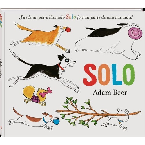 Libro Solo - Beer, Adam